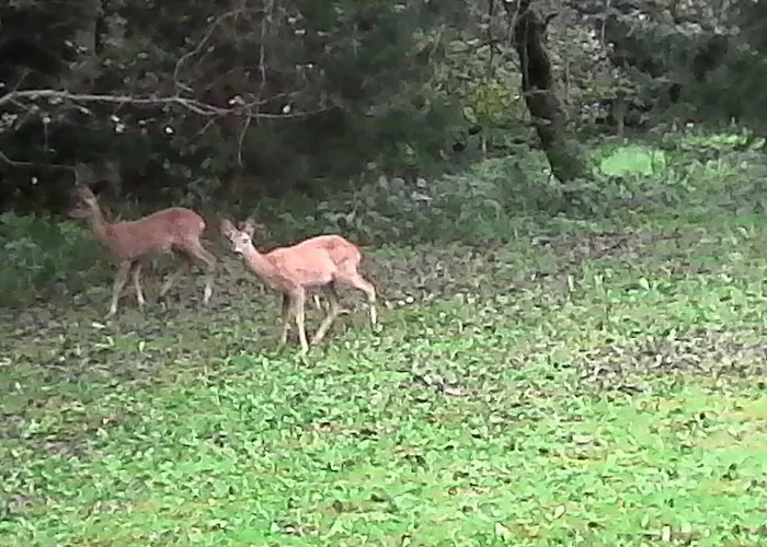 Panorama Wolfgangsee Apartmán